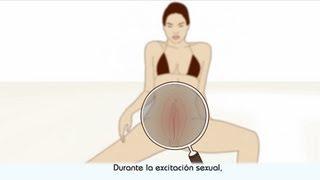 El orgasmo - descripción del orgasmo femenino