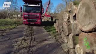 Bomenkap in Park 't Loverveld in Asten