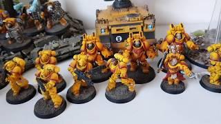 SPACE MARINES IMPERIAL FIST SHOWCASE