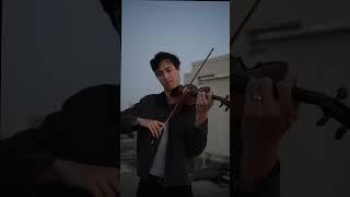 Laufey- Tough Luck (violin cover) #laufey #toughluck #violin #violincover