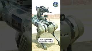 Urban warfare weapon? China's combat robotic dog is now gun-equipped!