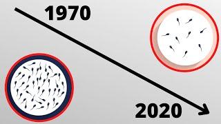 Why Is Men’s Sperm Count Decreasing - Zero Sperm Quality by 2045?