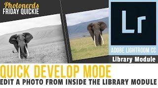 The Quick Develop panel in the Library module of Lightroom