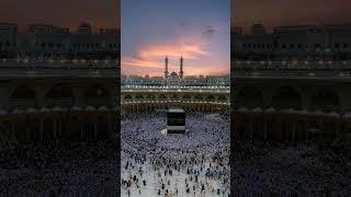 قَالَ رَبِّ إِنِّى دَعَوْتُ قَوْمِى لَيْلًا وَنَهَارًا #آيات #نوح #ماهر_المعيقلي