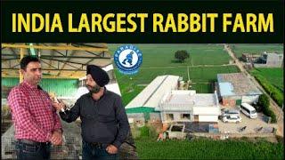 India largest rabbit farm| Rabbit Farming | Paradise Rabbit Farms Pvt.Ltd.