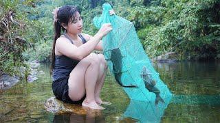 5-Meter Fish Trap Catches Many Kinds of Fish – Traditional Fishing in the Wild Stream