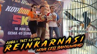 MB.REINKARNASI-NOVA CELL BANYUWANGI || KOPDAR SKN XIV