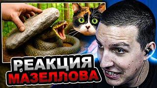 МАЗЕЛЛОВ СМОТРИТ SlivkiShow - Я ПЕРЕВЕРНУЛ 100 КАМНЕЙ В ЛЕСУ, И ВОТ ЧТО ТАМ НАШЕЛ | РЕАКЦИЯ МАЗЕЛОВА