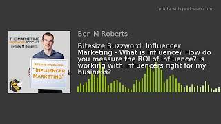 Bitesize Buzzword: Influencer Marketing - What is Influence? How do you measure the ROI of influence