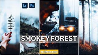 Smokey forest presets lightroom|SMOKEY FOREST Magic in Lightroom-Ak Edits