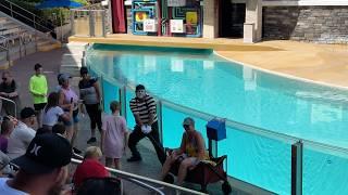 Tom the funniest mime at SeaWorld Orlando | Tom the Mime