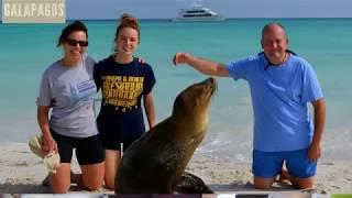 Thomson Family