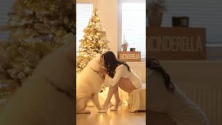 Are you dog or a cat person?  #whiteswissshepherd #dogperson