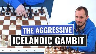 Icelandic Gambit | White's Fight in the Scandinavian Defense | Gambits | IM Andrey Ostrovskiy