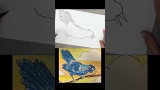 #Blue Jay  #Drawing for Beginners #Shorts