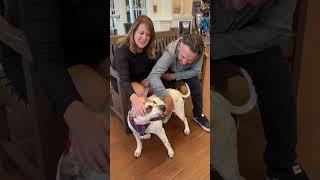 Happy Tails sweet Greg! We are so happy for you and your new family ️