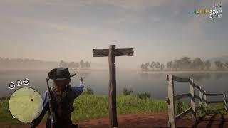 Red Dead 2 Online Rhodes Flower Location Chocolate Daisy