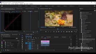 Корректирующие слои в Premiere Pro CC