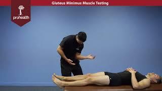 Gluteus Minimus Muscle Test Palp Dr Vizniak Muscle Manual