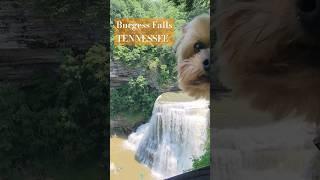 BURGESS FALLS WATERFALL in TENNESSEE #waterfall #tennessee #explore