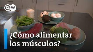 ¿Cuánta proteína necesito para hacer deporte?