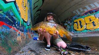 GIANT FISH Discovered in Melbourne's Hidden URBAN DRAINAGE SYSTEM!