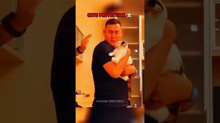 Dog Protection vs Cat Protect ️ #shorts #edit #cats #trollface