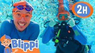 Blippi Goes Diving UNDERWATER! |  Blippi and Meekah Best Friend Adventures | Educational Videos