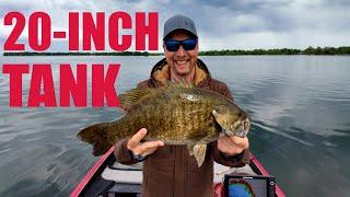 Monster 5lb Smallmouth Bass on Mille Lacs!  Fishing with Walleye Mike | Minnesota Bass Fishing