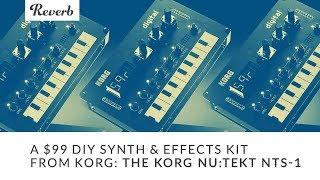 A $99 DIY Synth & Effects Kit from Korg: The Korg Nu:Tekt NTS-1 | Reverb Demo