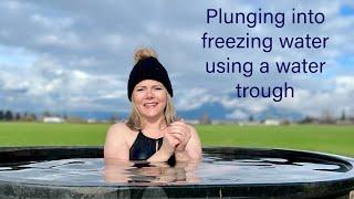 Plunging into freezing water using a water trough