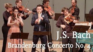 J.S. Bach: Brandenburg Concerto No. 4 / Cappella Gabetta, Maurice Steger, Andrés Gabetta