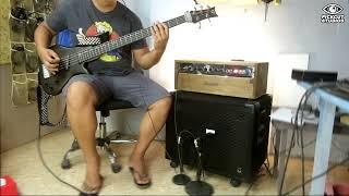 Global STKB5 bass on Steroids | Tube Amp