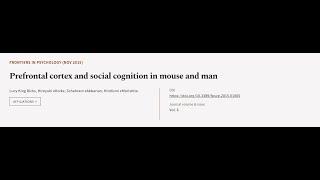 Prefrontal cortex and social cognition in mouse and man | RTCL.TV