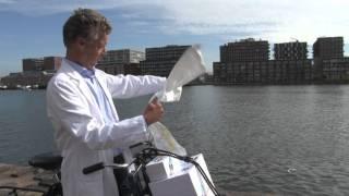 FIP Centennial World Congress 2012