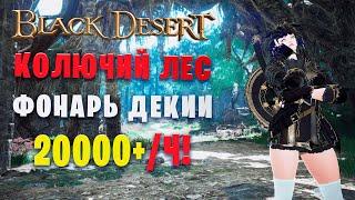 Колючий лес - Фонарь Декии. 2 свиток 20000+. БЕЗ АГРИСА!. Классный спот (Black Desert)