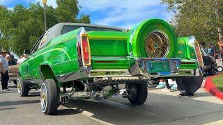 Lowrider Cars Hopping, Bouncing & Cruising the park