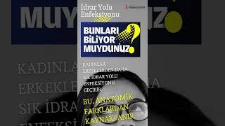 17 Haziran 2024