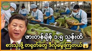 ဖားတန်ချိန် ၁.၅ သန်းကို တရုတ်-ဖား စက်ရုံများမှ မွေးမြူပြီး စားသောက်ကြတယ်။