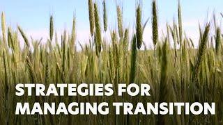 Strategies for Managing Transition