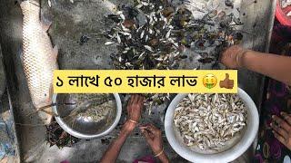 পুকুরে কোন মাছ চাষে লাভ বেশি | Ar Razzaq Agro