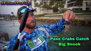 Pass Crabs Catch Big Snook! - FittedToFish