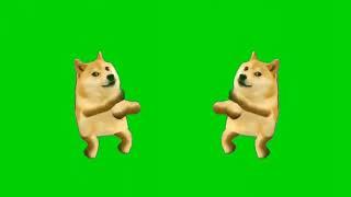 GREEN SCREEN EFFECT CHEEMS DOG DANCING [SOLO,DUO]  || ALL CONCEPT VIDEOS | AV