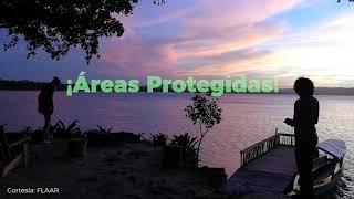 Áreas Protegidas de Petén, Guatemala.