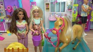 Barbie at Vet Hospital 