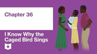 I Know Why the Caged Bird Sings by Maya Angelou | Chapter 36