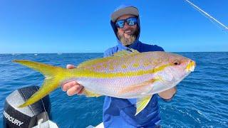 Accidentally Catching Giant Yellowtail Snapper | Key West, Florida | Catch Clean Cook