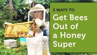3 Ways to Get Bees Out of a Honey Super | How to Harvest Honey | Beekeeping for Beginners