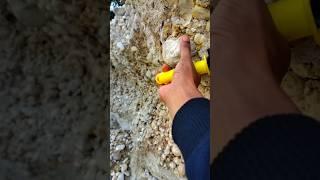 millions of agate stones are on this cliff#gemstones #agate #diamond #jade #petrifiedwood