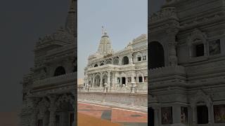 Naina Lage Shyam Bihari se chalo ji man Vrindavan Dham #radheshyam #krishna